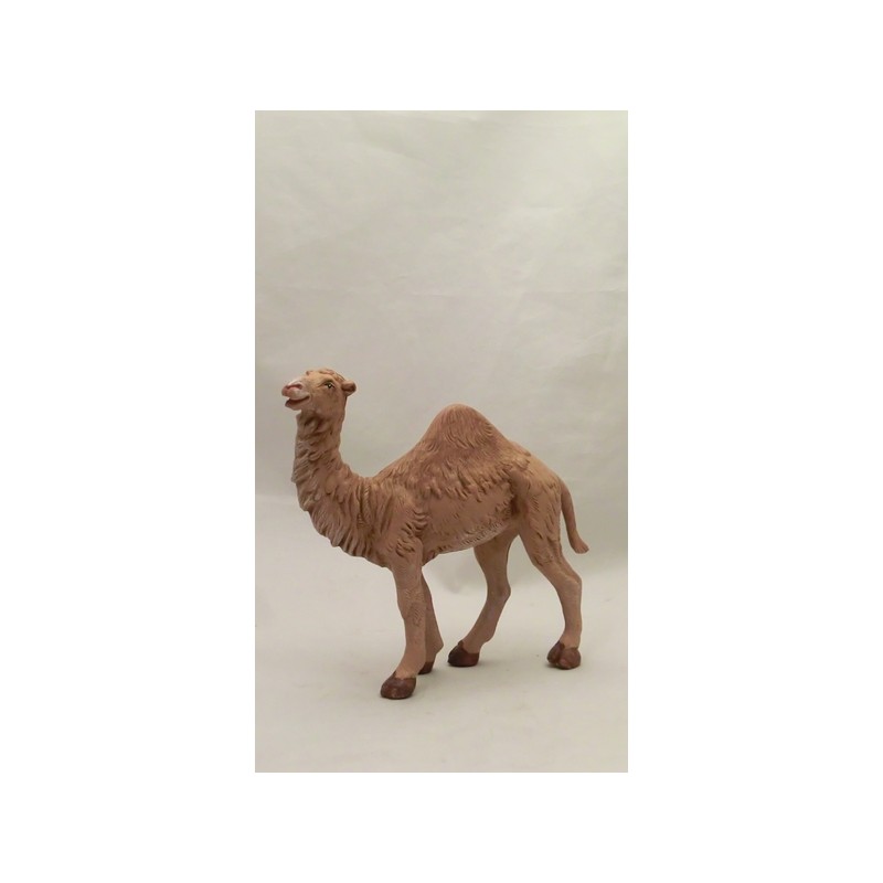 Dromedario cm 19