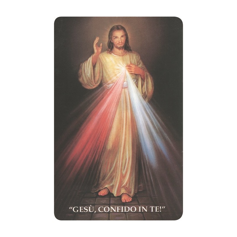 Immagine pvc Gesù Misericordioso