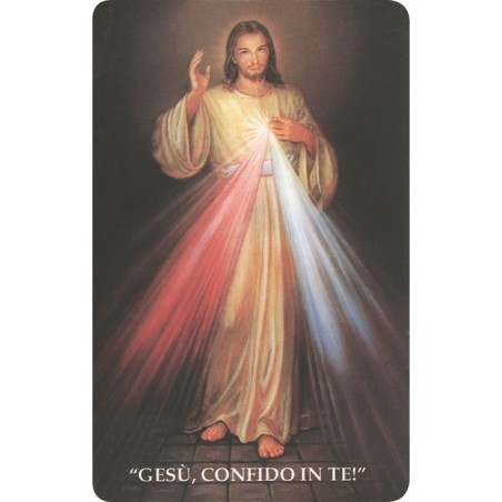 Immagine pvc Gesù Misericordioso
