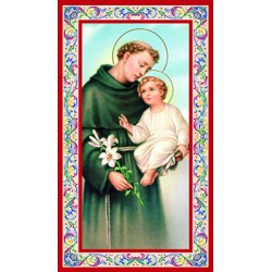Immagine S. Antonio di Padova (100 pz)