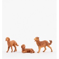 Serie 3 cani adatti a cm 12