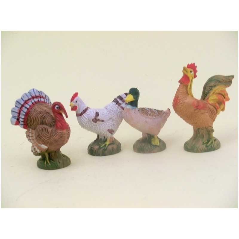 Serie 5 gallinacei cm 19