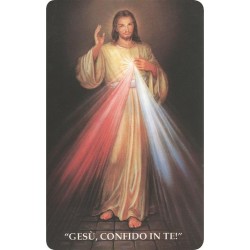 Immagine pvc Gesù Misericordioso
