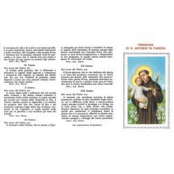 Tredicina di S. Antonio (100 pz)