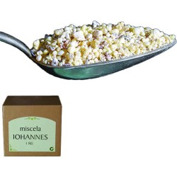 Incenso miscela Johannes (kg. 1)