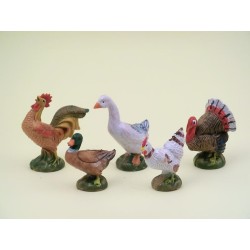 Serie 5 gallinacei adatte a cm. 12