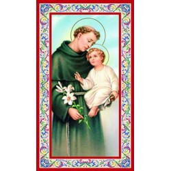 Immagine S. Antonio di Padova (100 pz)