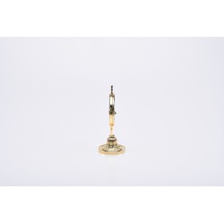 Teca dorata da esposizione