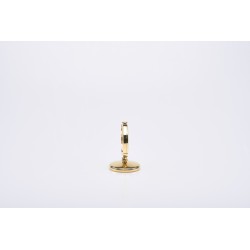 Teca dorata da esposizione