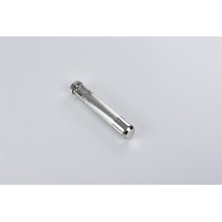 Asperges gigante cm. 15