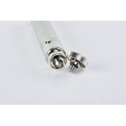 Asperges gigante cm. 15