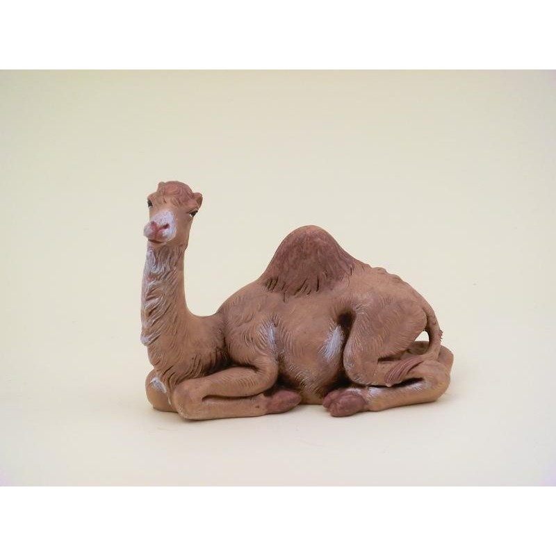 Dromedario cm 12
