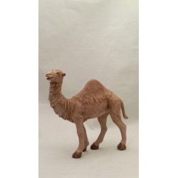 Dromedario cm 19