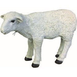 Pecora in piedi in resina