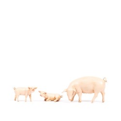 Famiglia maiali per presepio cm 19