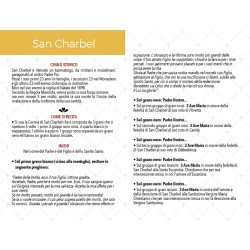 Rosario devozionale a San Charbel grano mm. 6