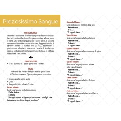 Rosario devozionale Preziosissimo sangue grano mm. 4,5 con medagliette