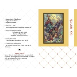 Rosario devozionale Santissima Trinità grano mm. 7