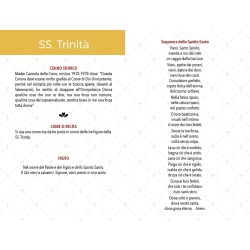 Rosario devozionale Santissima Trinità grano mm. 7