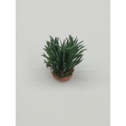 Cespuglio di ginestra