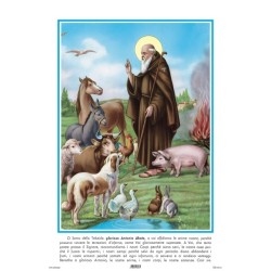 Stampa S. Antonio Abate cm. 16x24 (100 pz)