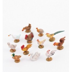 Serie 12 gallinacei adatte a cm. 9,5