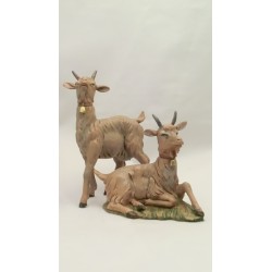 Serie 2 caprette cm 30