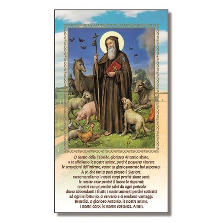 Cartoncino S. Antonio Abate - Tebaide cm. 12x22 (100 pz)