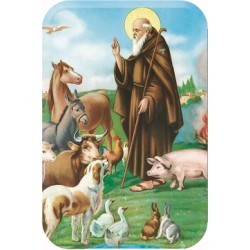 Magnete S. Antonio Abate cm. 4x6