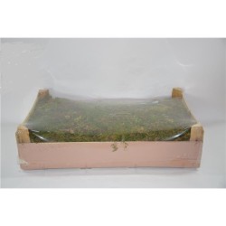 Cassetta muschio (kg. 1,2)