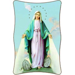 Quadretto Madonna Miracolosa