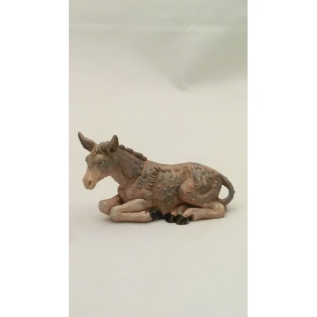 Asino per cm 9,5