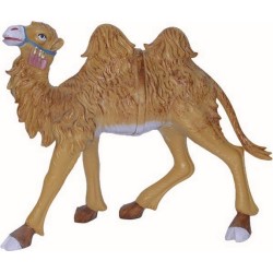 Cammello cm. 30