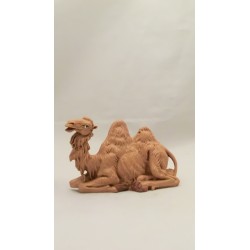 Cammello seduto cm 12