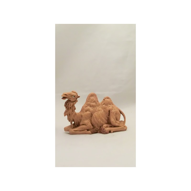 Cammello seduto cm 12